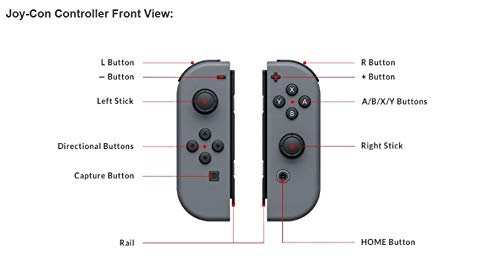 Nintendo Switch Joy-Con (L/R) - Gray